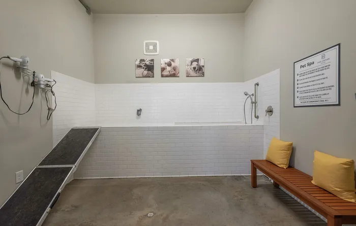 Modern pet spa room featuring a tiled washing area with ramp, cozy wooden bench with yellow cushions, and stylish dog-themed wall art.