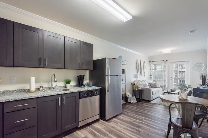Modern apartment interior showcasing a stylish kitchen with sleek dark cabinets, granite countertops, and stainless steel appliances, flowing into a cozy living area with natural light.