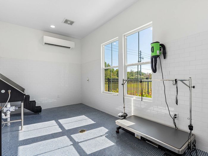Bright, modern grooming room with sleek tiled flooring, large windows, and efficient built-in equipment, perfect for pet care.