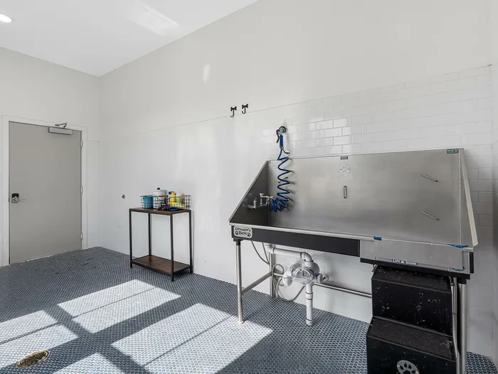 Modern utility room featuring a sleek stainless steel grooming station, stylish tiled floor, and ample space for tasks.