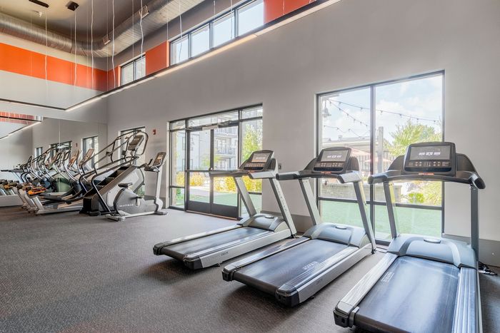 Bright, modern fitness center with state-of-the-art treadmills and elliptical machines overlooking a scenic outdoor view.