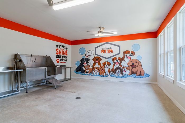 Bright and welcoming pet spa room with vibrant dog mural, stainless steel wash station, and cheerful signage.