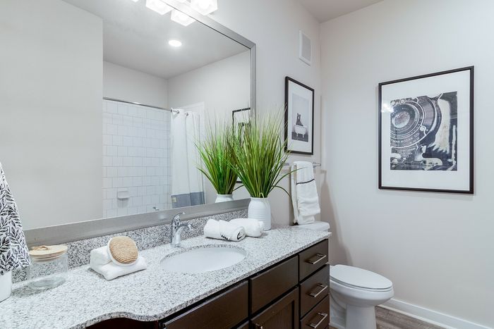 Bright and elegant bathroom featuring a sleek granite countertop, modern fixtures, and tasteful decor with framed art and greenery.