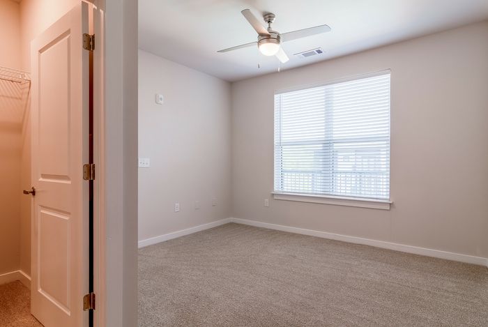 Bright and cozy bedroom featuring plush carpeting, large window with blinds, and a modern ceiling fan.