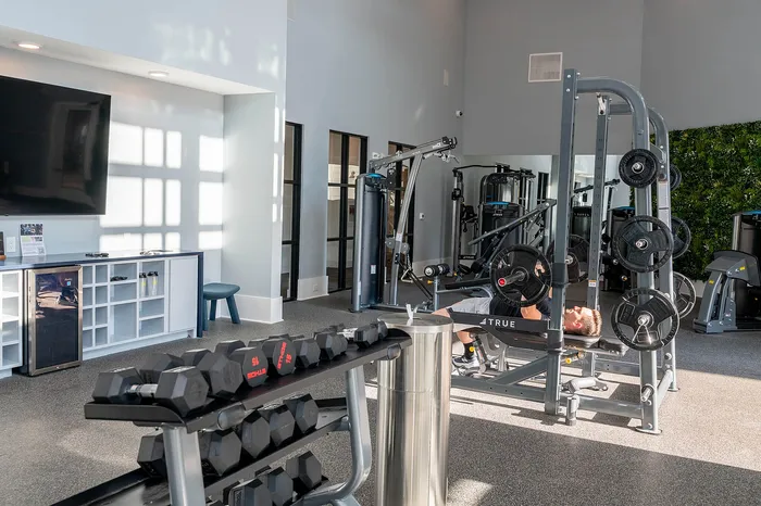 Modern gym space with state-of-the-art equipment, weightlifting bench, and bright natural lighting creating an inviting workout environment.