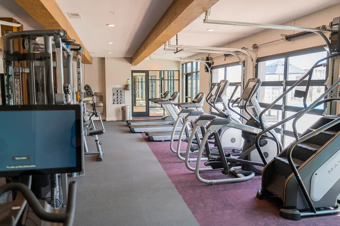 Modern apartment gym with state-of-the-art fitness equipment, large windows, and inviting natural light.