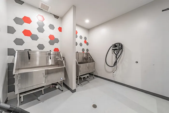 Modern utility room featuring sleek stainless steel sinks, vibrant hexagonal wall tiles, and state-of-the-art cleaning equipment.