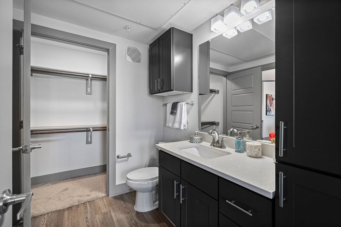 Elegant bathroom featuring sleek dark cabinetry, modern fixtures, and an adjacent spacious walk-in closet.