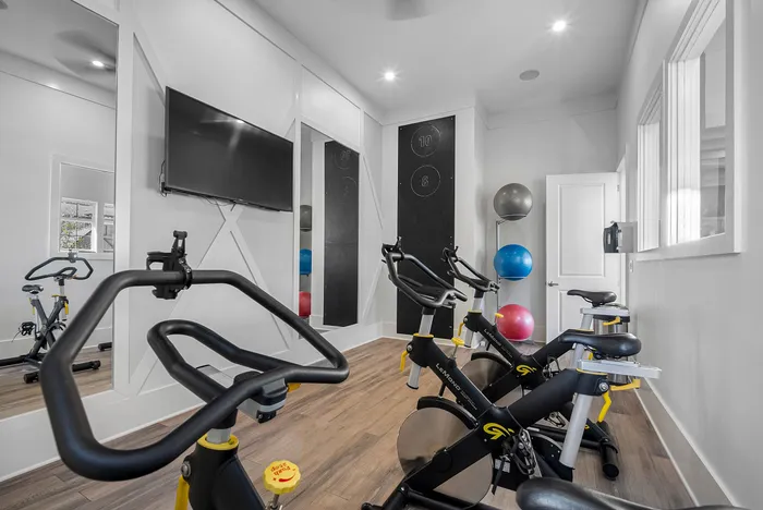 Modern home gym with sleek exercise bikes, mounted flat-screen TV, and vibrant exercise balls on wooden flooring.