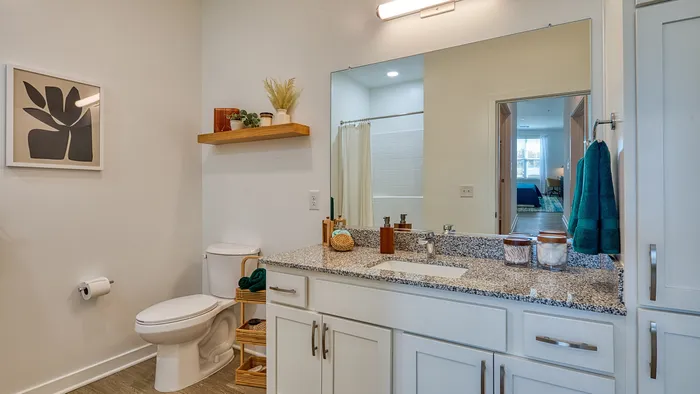 Elegant bathroom featuring granite countertops, modern fixtures, stylish shelving, and a view into a sunlit bedroom.