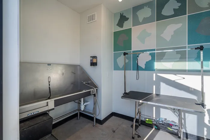 Modern pet grooming station with stainless steel wash tub and grooming table, featuring stylish animal silhouette wall art.