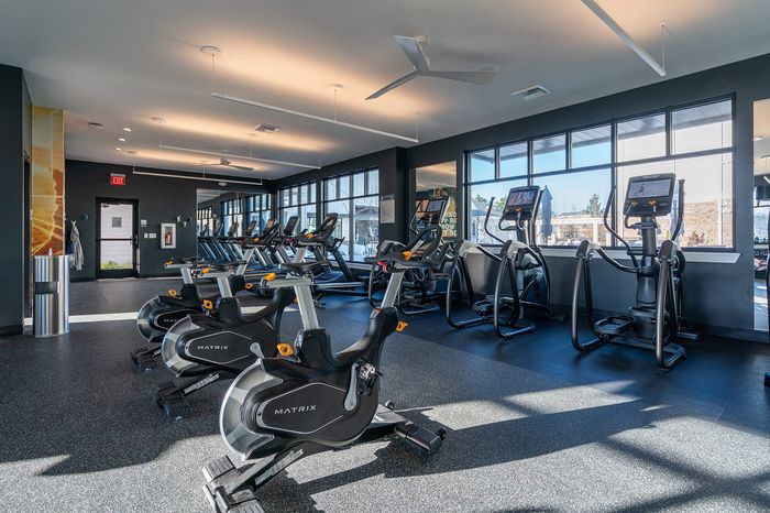 Bright, modern gym with state-of-the-art exercise bikes and ellipticals, offering beautiful views through expansive windows.