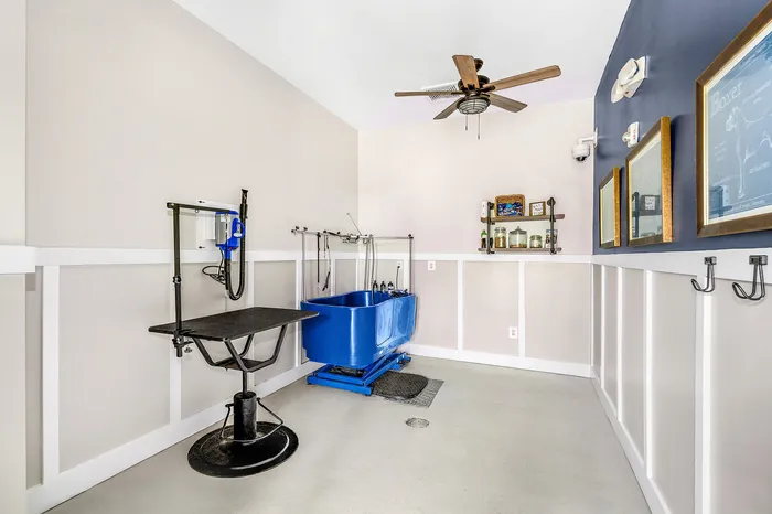 Bright, modern pet grooming room with a blue washing tub, stylish black grooming station, and elegant wall decor.