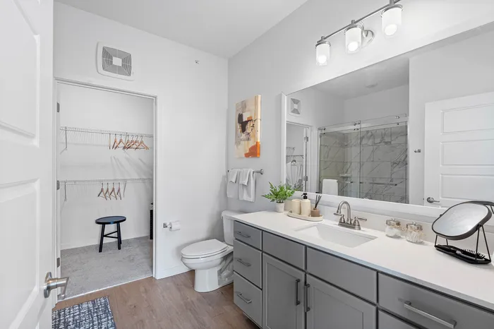 Elegant bathroom with sleek gray cabinetry, large mirror, and modern lighting, adjacent to a spacious walk-in closet.