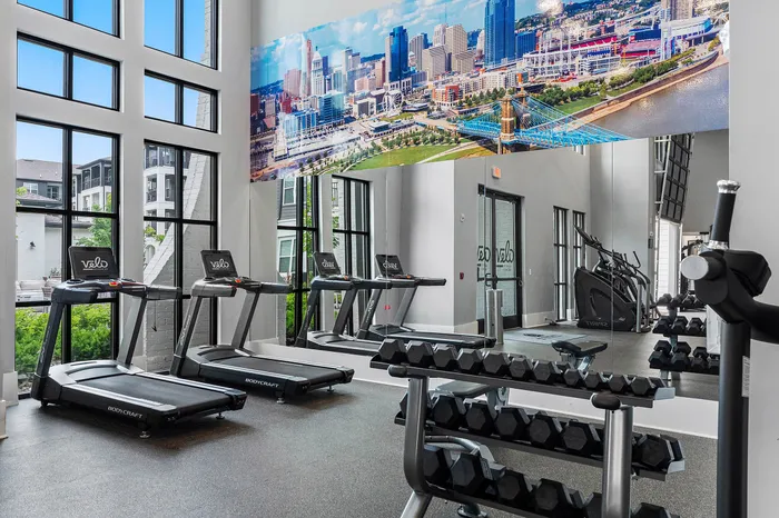 Contemporary fitness center with large windows, equipped with treadmills, dumbbells, and a vibrant cityscape mural for an invigorating workout environment.