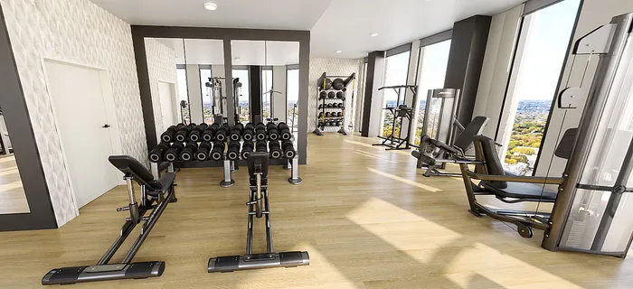 Free Weight Area