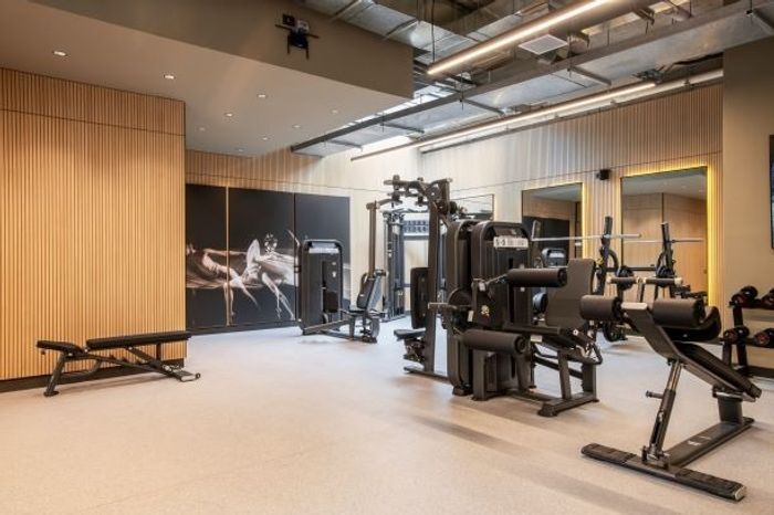 Gimnasio