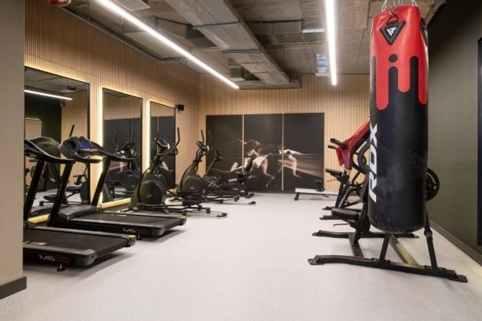 Gimnasio