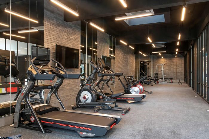 Gimnasio