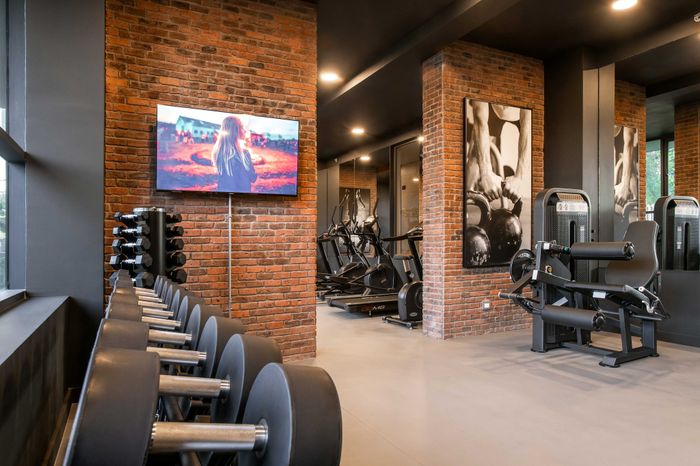 Gimnasio