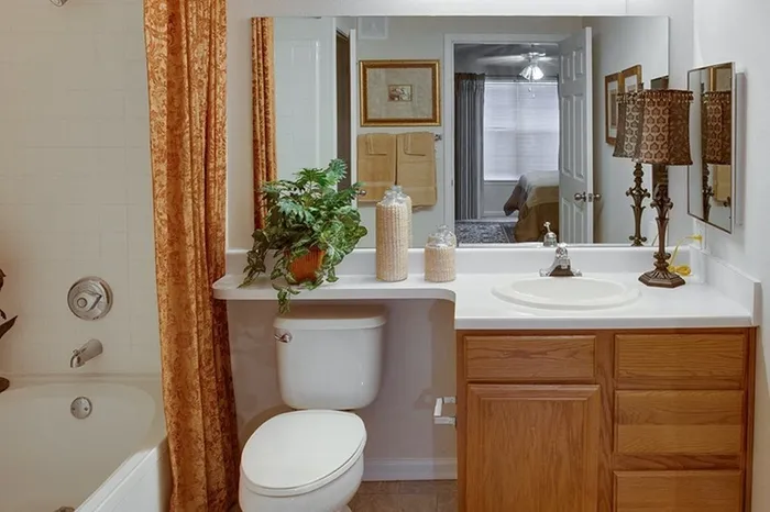 Model apartment bathroom