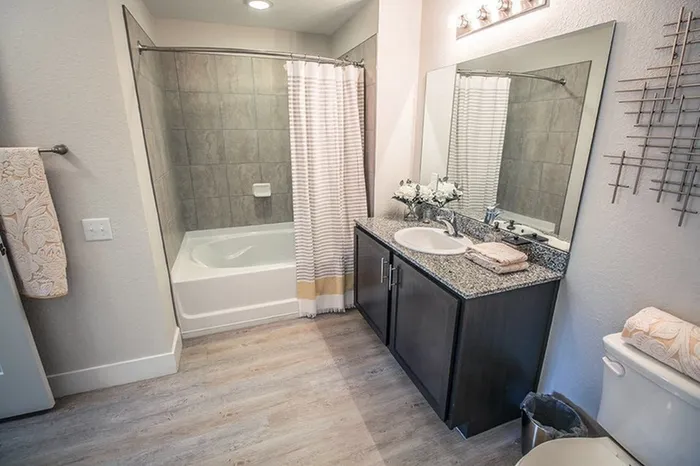 Model apartment bathroom