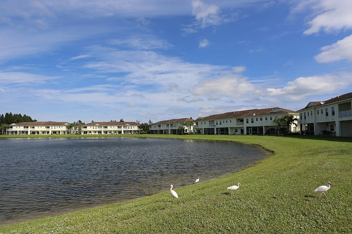 Lake views
