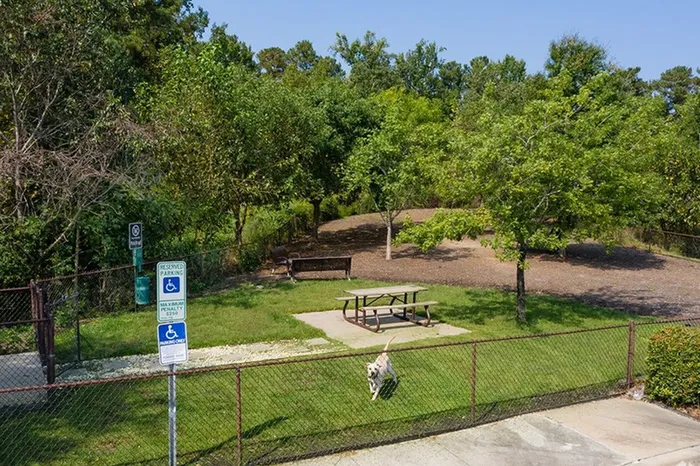 Dog park