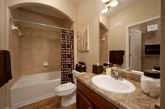 Model apartment bathroom