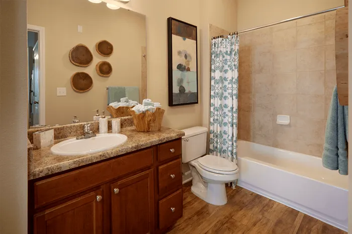 Model apartment bathroom