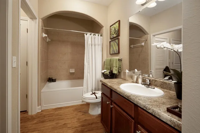 Model apartment bathroom