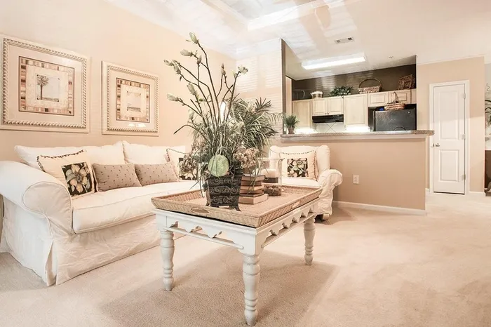 Model apartment living area