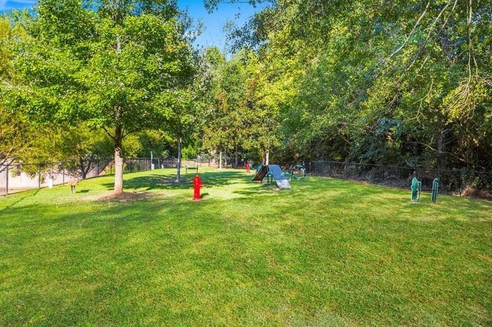 Dog park