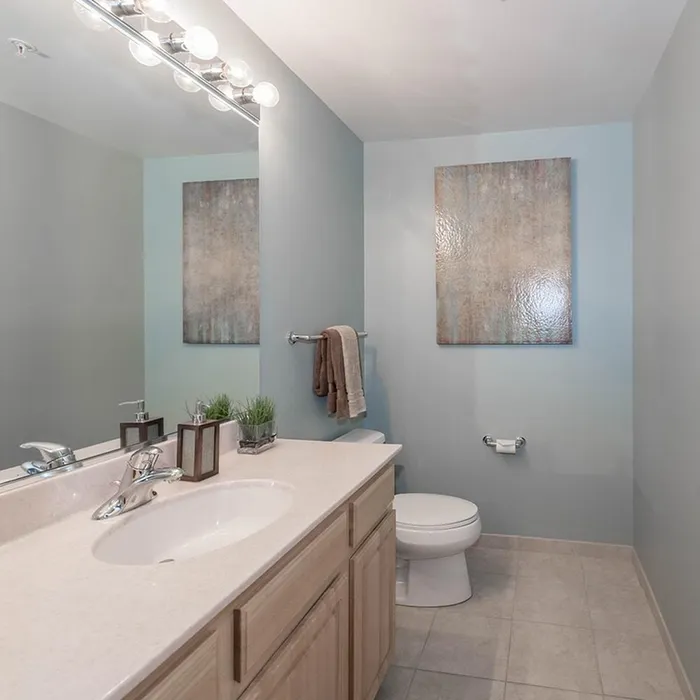 echelon-model-2brgreen-Bathroom2