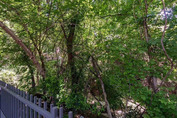 Creek area