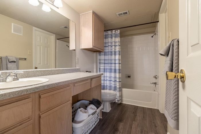 Model apartment bathroom