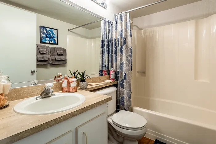 Apartment bathroom