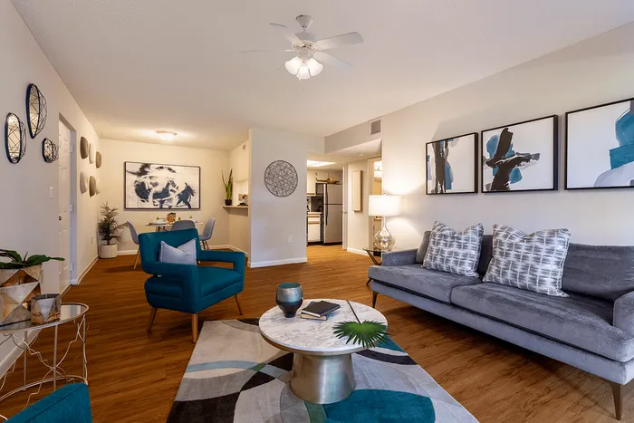 Apartment living area