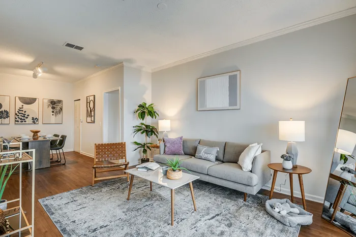 Model Home Living Room