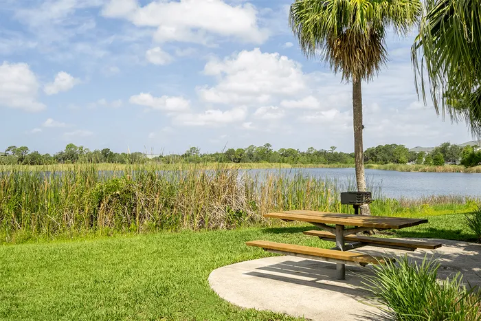 Picnic Area and Waterfront Views