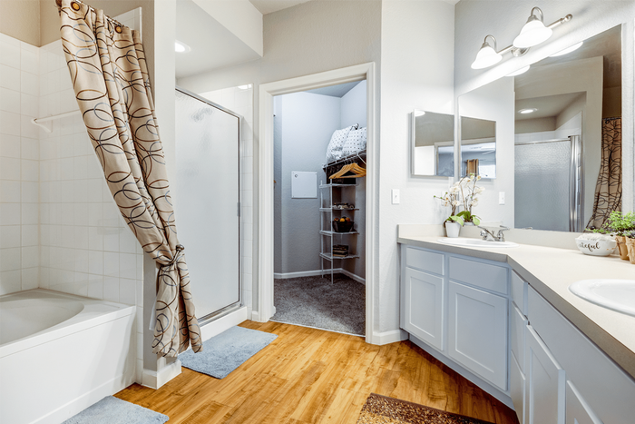 Bathroom and closet