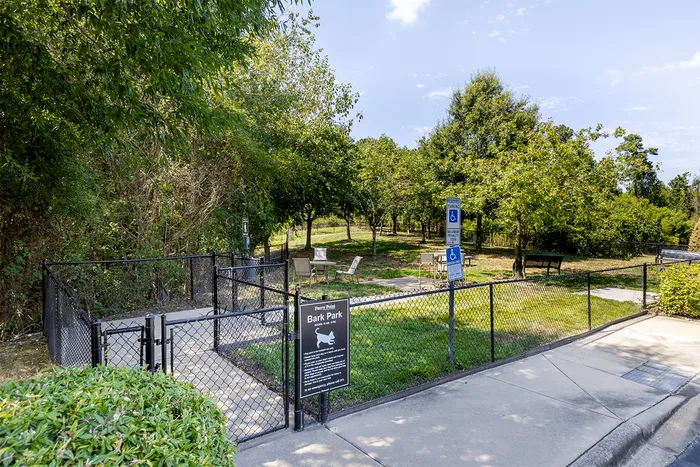 Dog Park