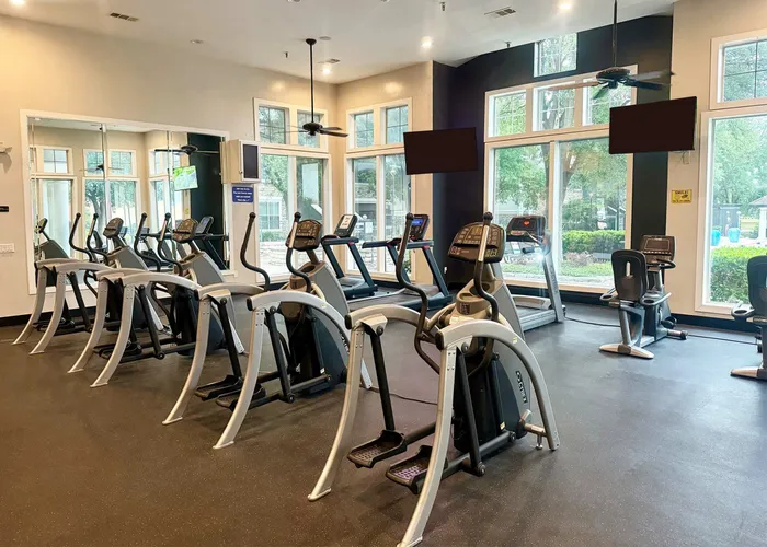 Modern gym with state-of-the-art elliptical machines, treadmills, and stationary bikes, featuring large windows for natural light and outdoor views.