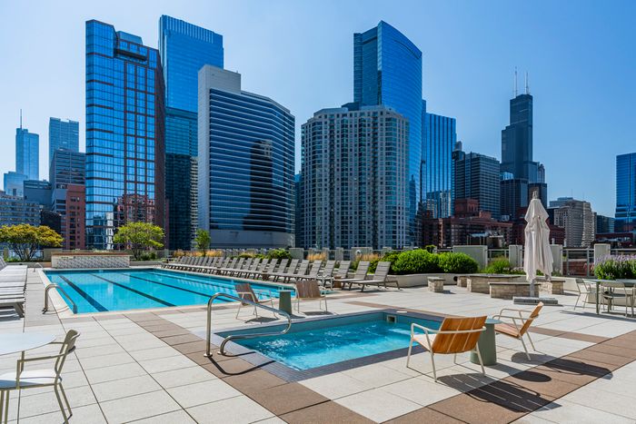 Luxurious rooftop pool with chic loungers offering stunning cityscape views in a vibrant urban setting.