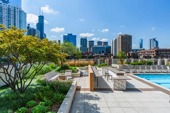 Luxurious rooftop patio featuring modern seating, lush greenery, and a sparkling pool with stunning city skyline views.
