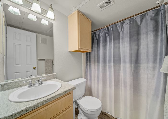 Bright and inviting bathroom with elegant granite countertop, modern fixtures, and a stylish shower curtain.