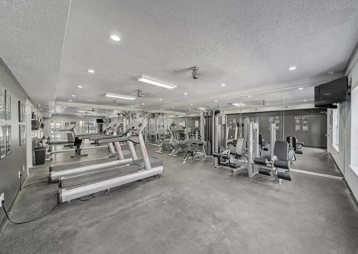 Spacious and modern gym with state-of-the-art cardio and strength equipment, perfect for your fitness goals.