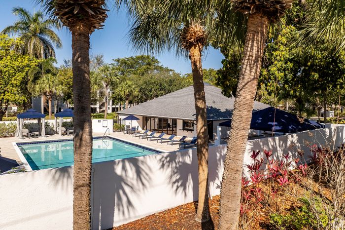 Inviting outdoor pool area with lounging chairs and umbrellas, surrounded by lush palm trees and vibrant garden, perfect for relaxation.