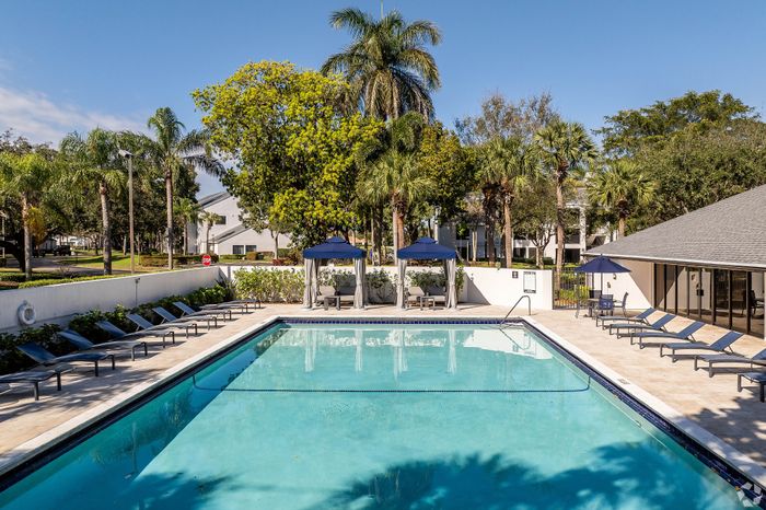 Inviting outdoor pool area surrounded by lush palm trees, featuring comfortable lounge chairs and elegant cabanas for relaxation.