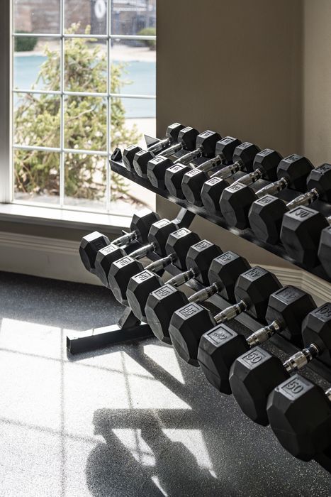 Well-lit fitness area featuring a rack of black dumbbells and a large window overlooking scenic greenery.